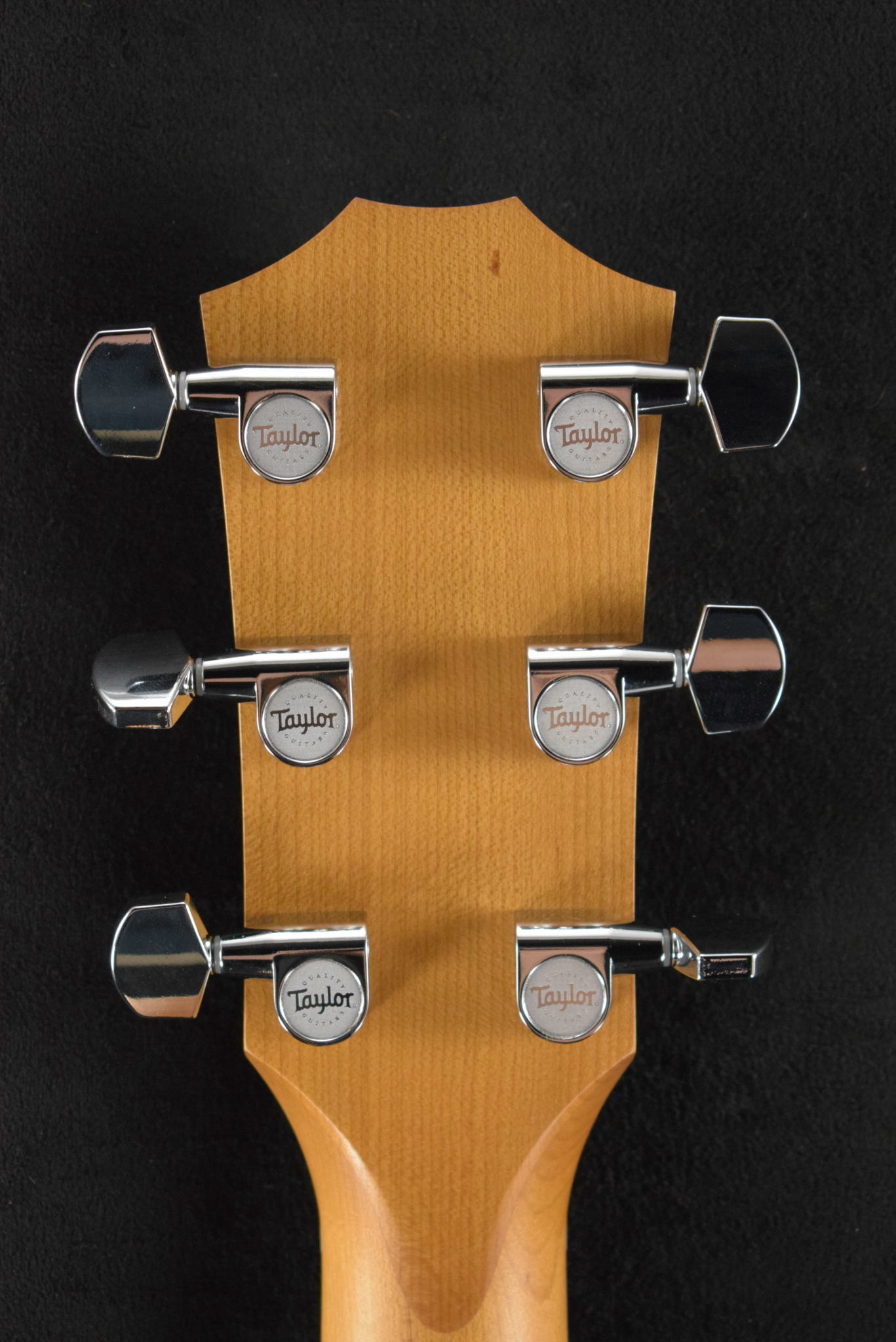 Taylor Taylor Academy 12e Natural