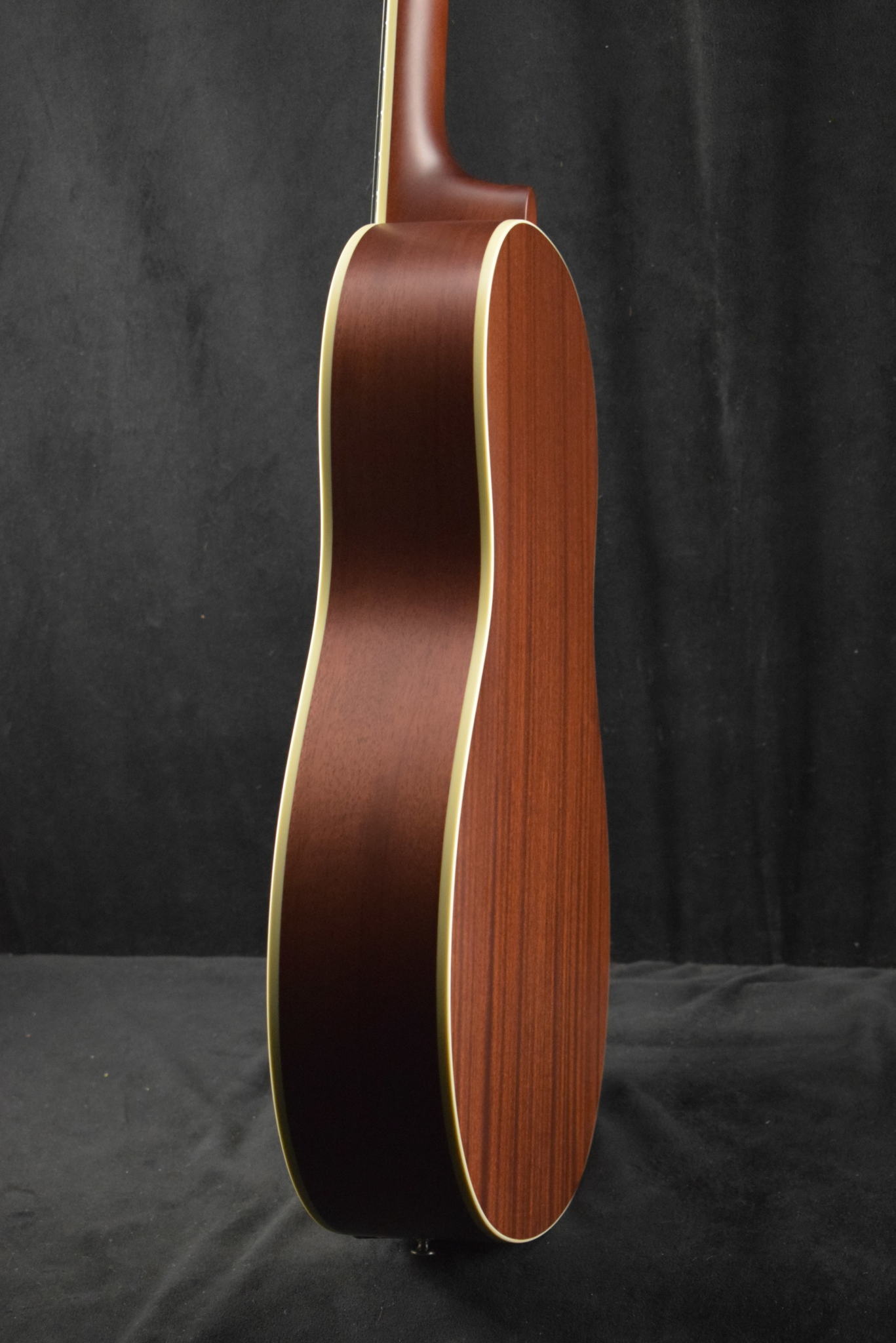 National National M-2 12-Fret SingleCone Mahogany Body Round Neck