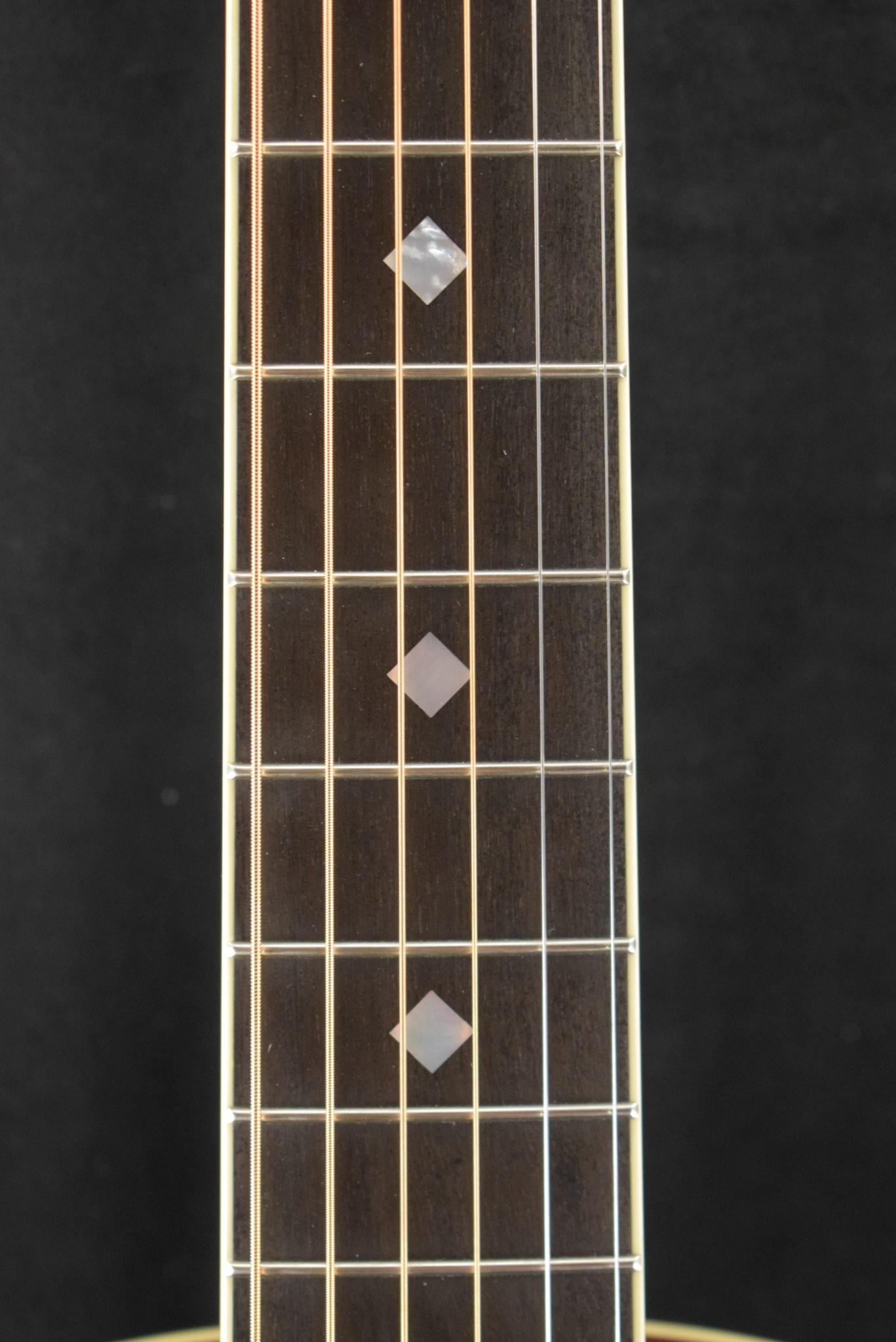 National National M-2 12-Fret SingleCone Mahogany Body Round Neck