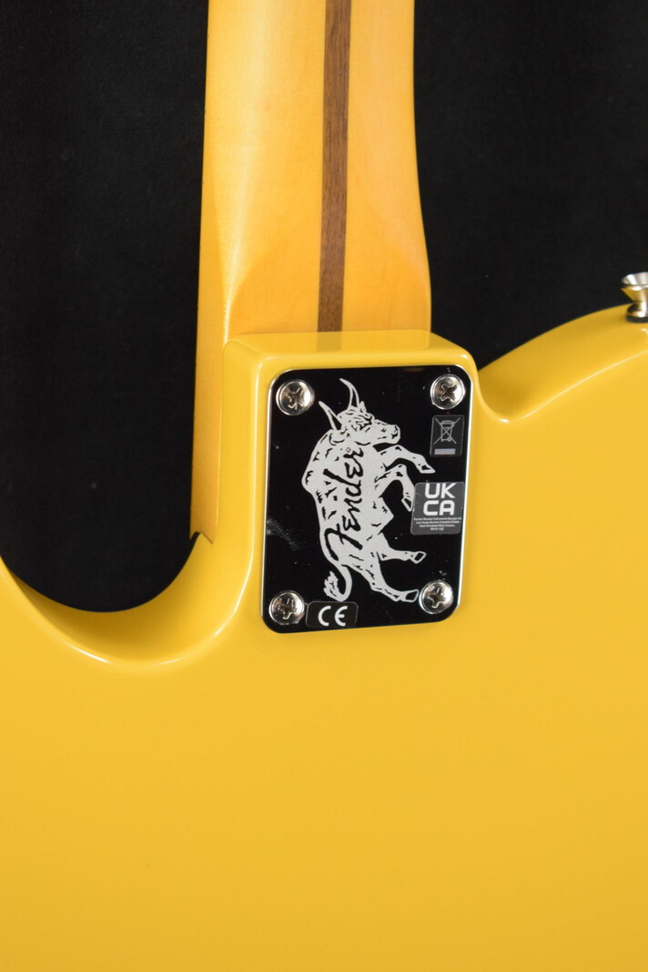 Fender Fender Britt Daniel Tele Thinline Amarillo Gold Maple Fingerboard