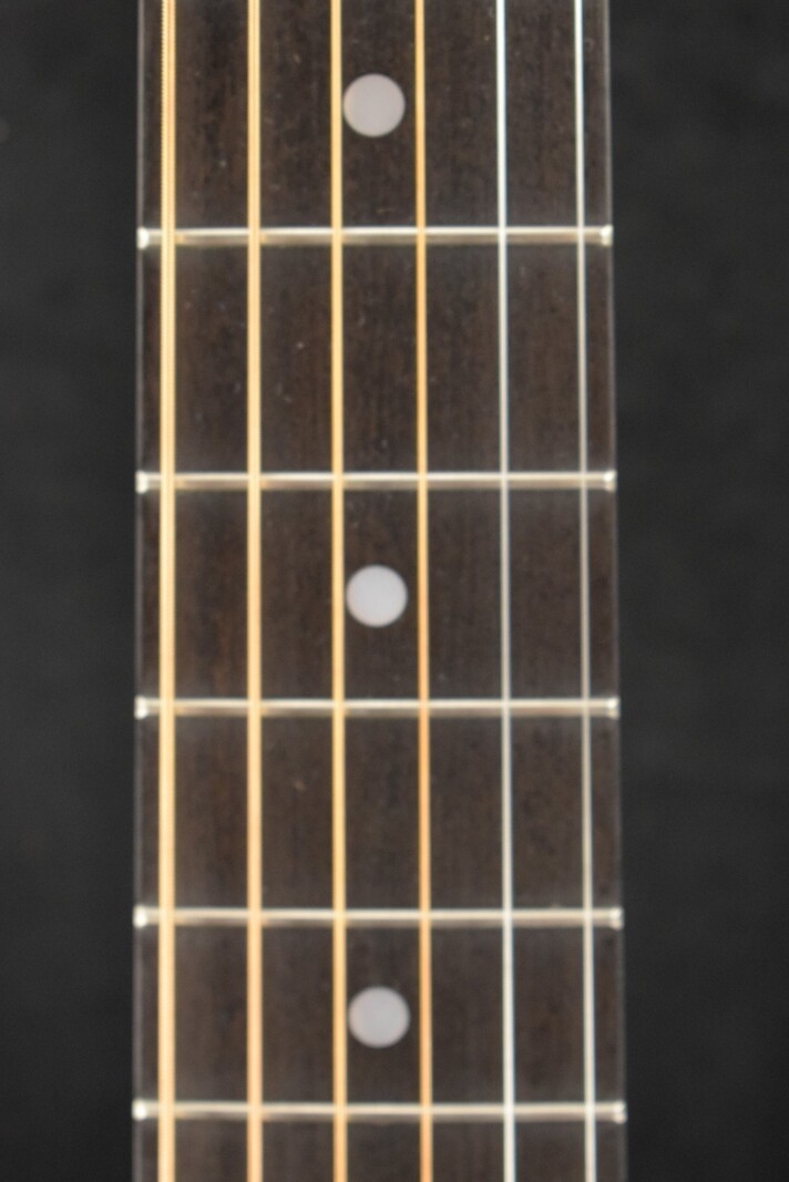 National National NRP Steel 14-Fret Resonator Rubbed Finish with Sieve Hole Coverplate