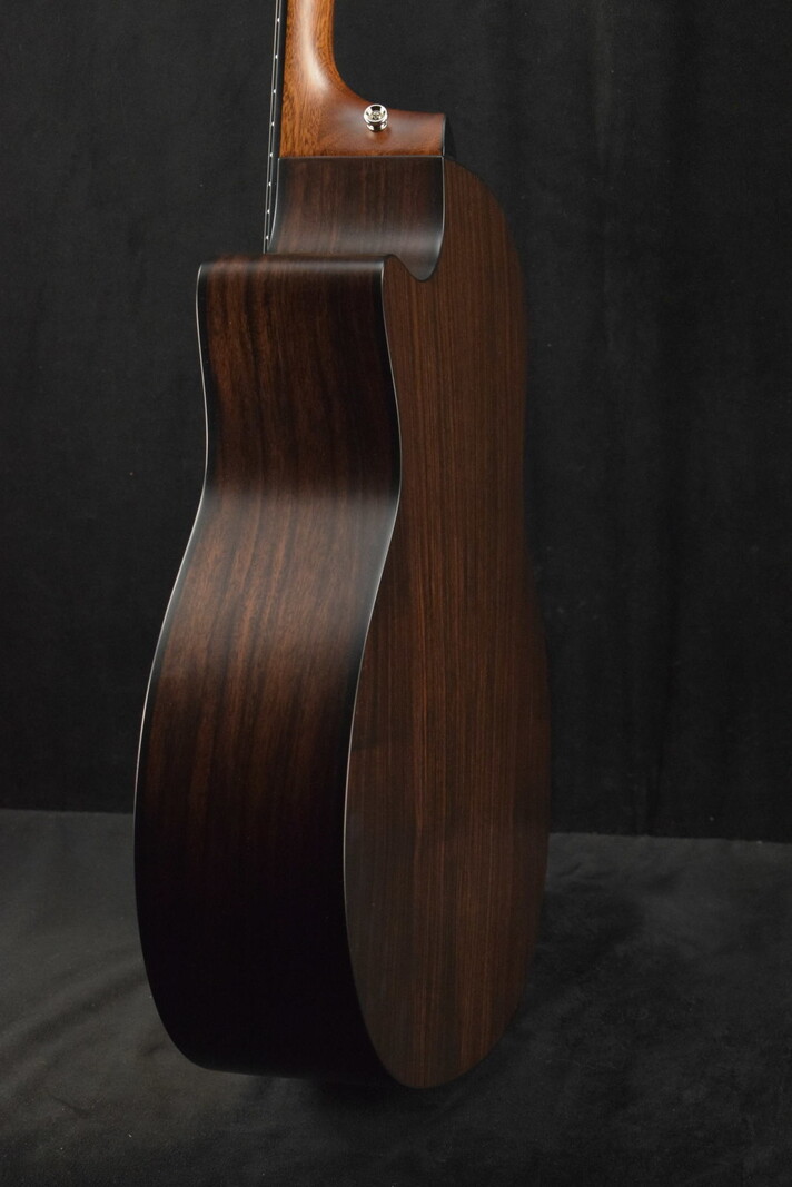 Taylor Taylor 314ce Special Edition Satin Rosewood Body