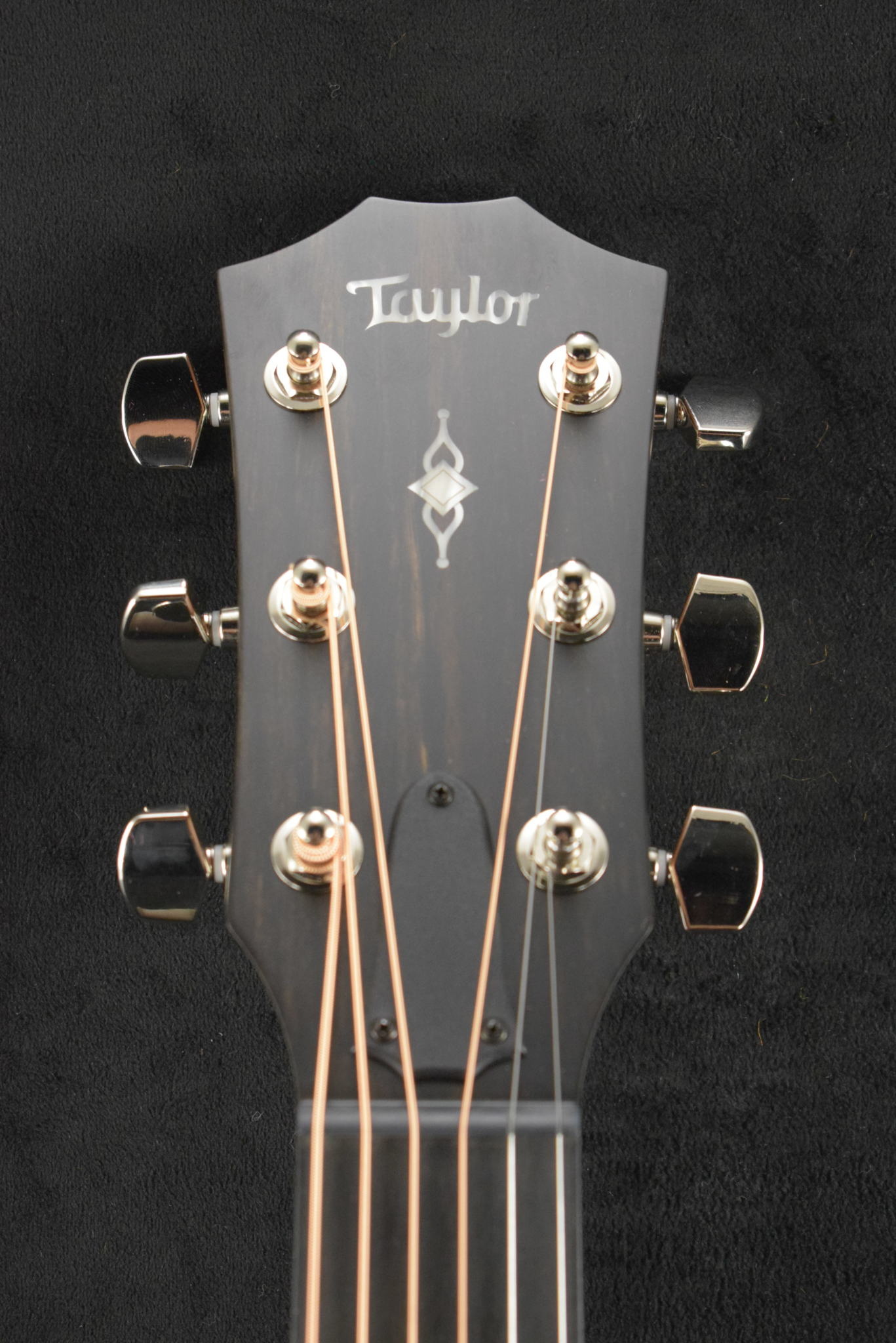 Taylor 2024 314ce rosewood