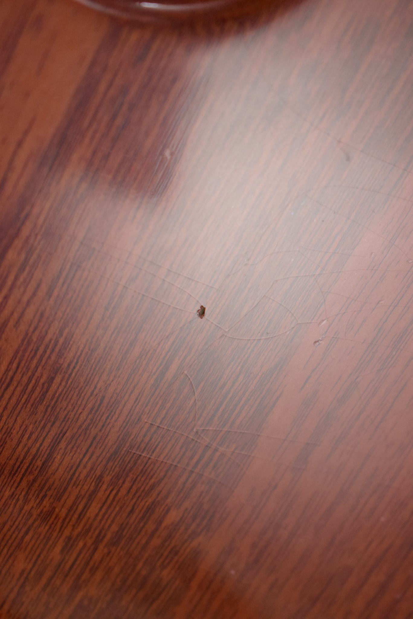 Gibson Gibson Murphy Lab 1959 Les Paul Standard Royal Tea Burst Light Aged