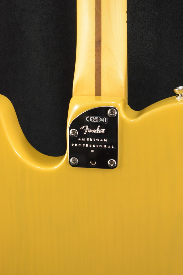 Fender Fender American Professional II Telecaster Butterscotch Blonde Maple Fingerboard