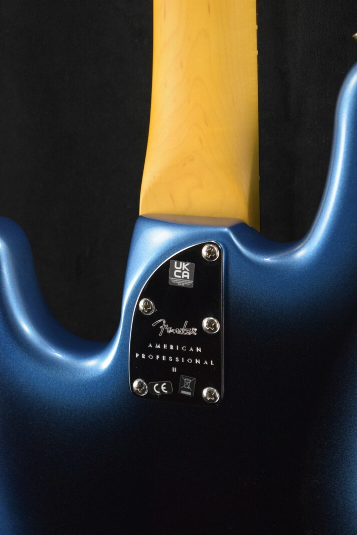 Fender Fender American Professional II Jazz Bass Fretless Dark Night Rosewood Fingerboard