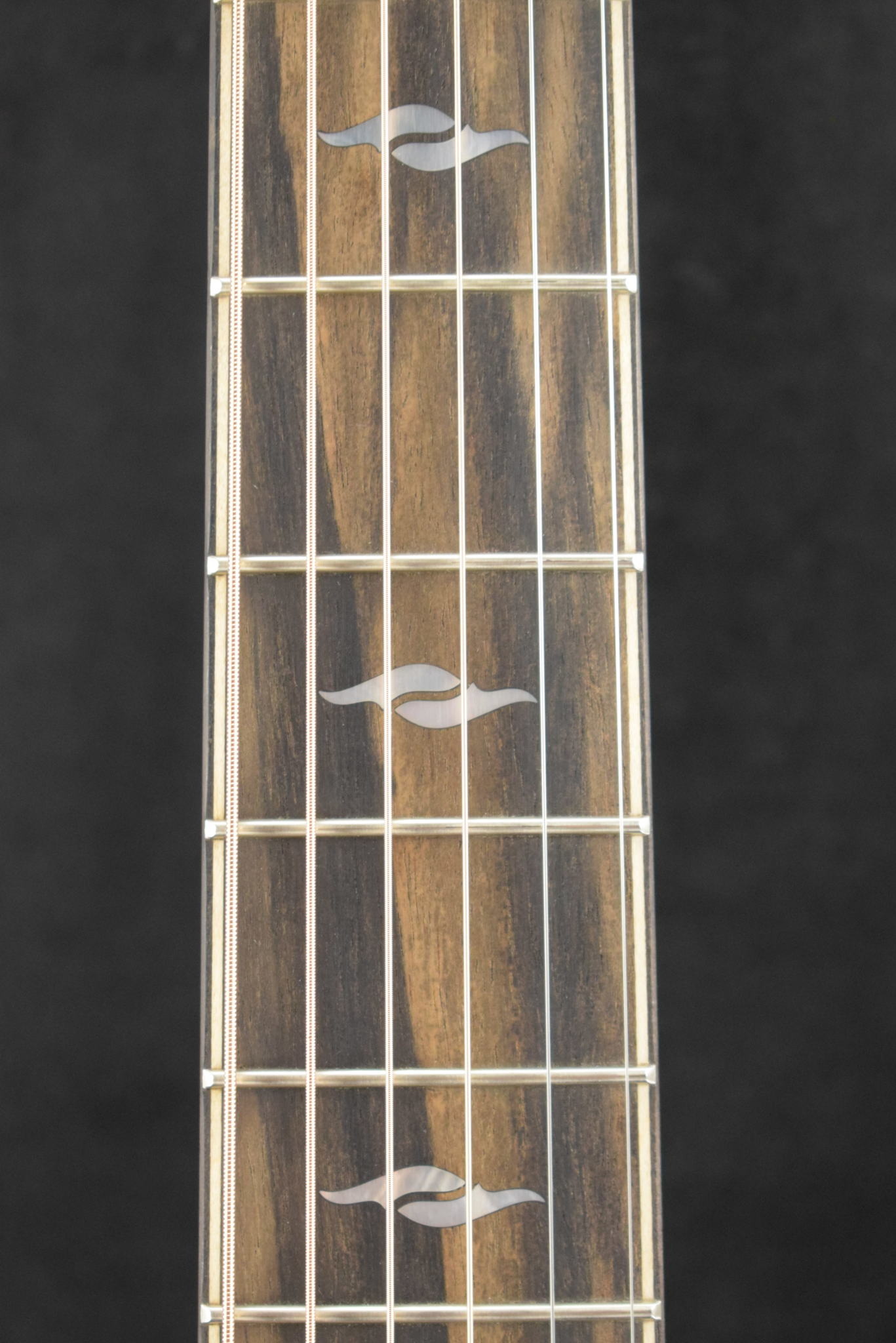 Taylor Taylor Builder's Edition 814ce Blacktop