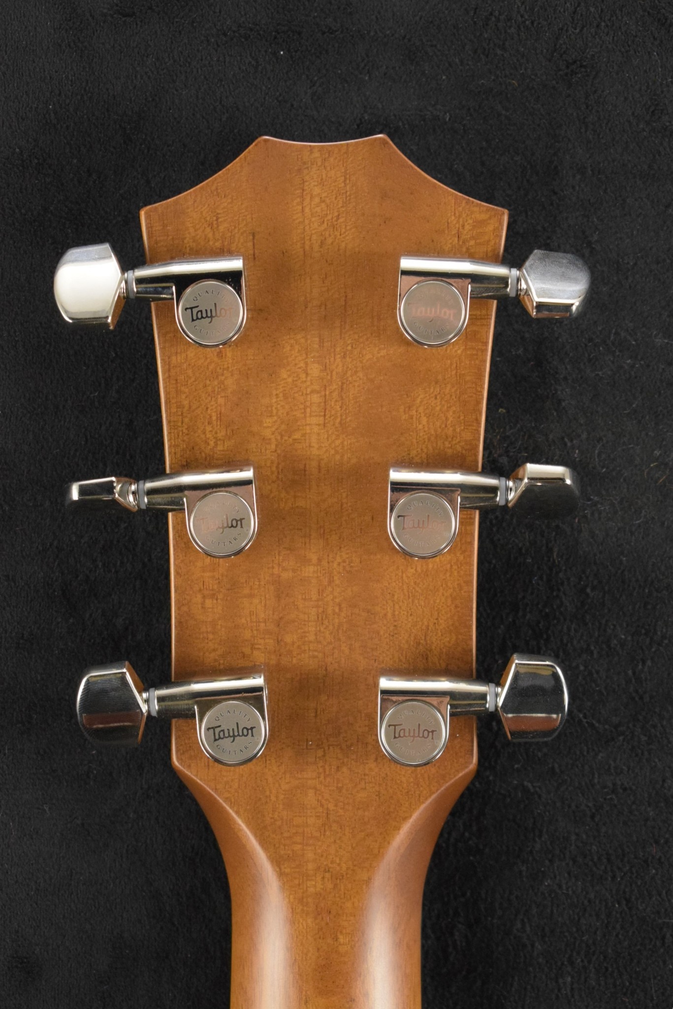 Taylor Taylor 514ce Urban Ironbark/Torrefied Sitka Spruce Shaded Edge Burst