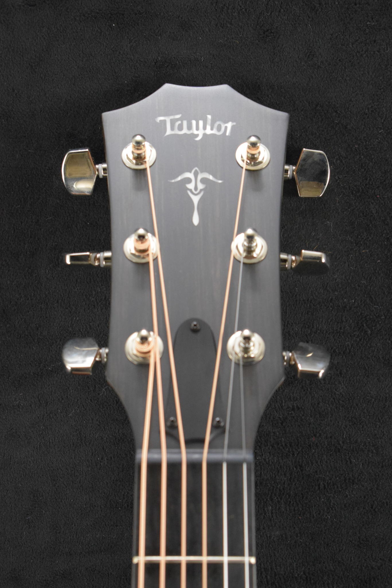 Taylor Taylor 514ce Urban Ironbark/Torrefied Sitka Spruce Shaded Edge Burst