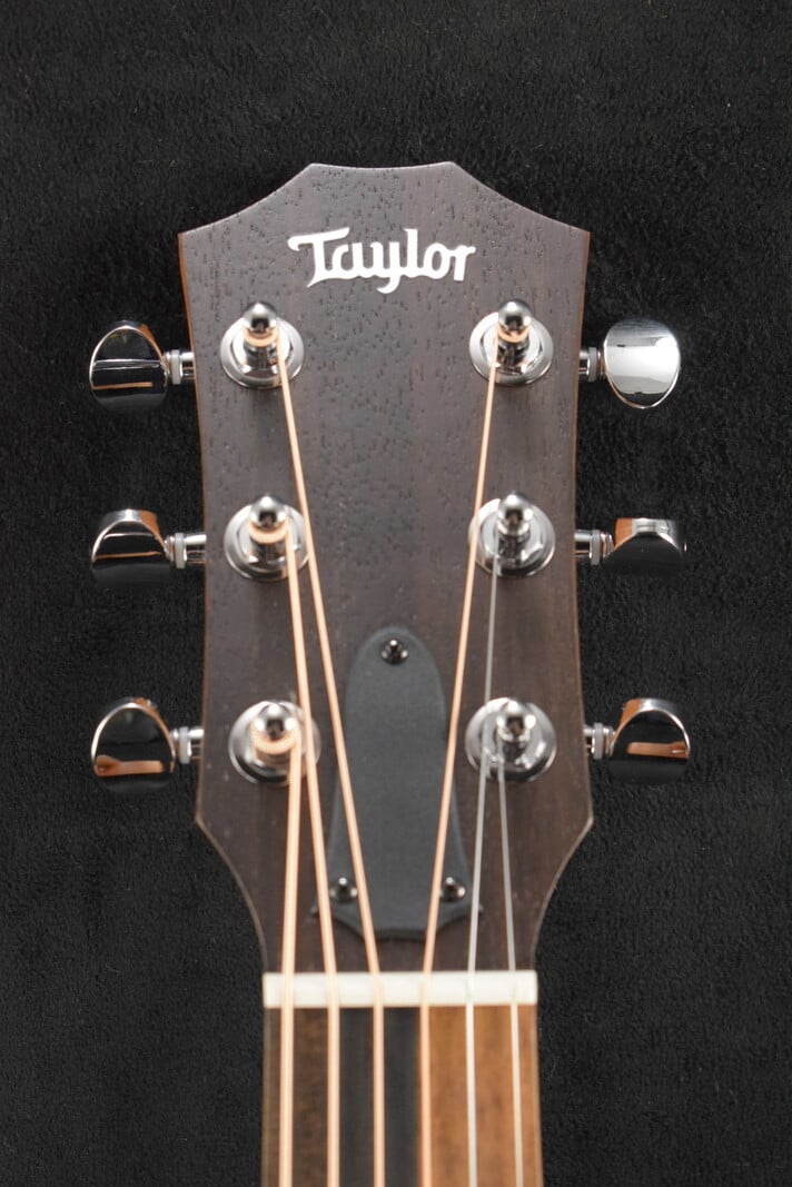 Taylor Taylor GS Mini Sapele