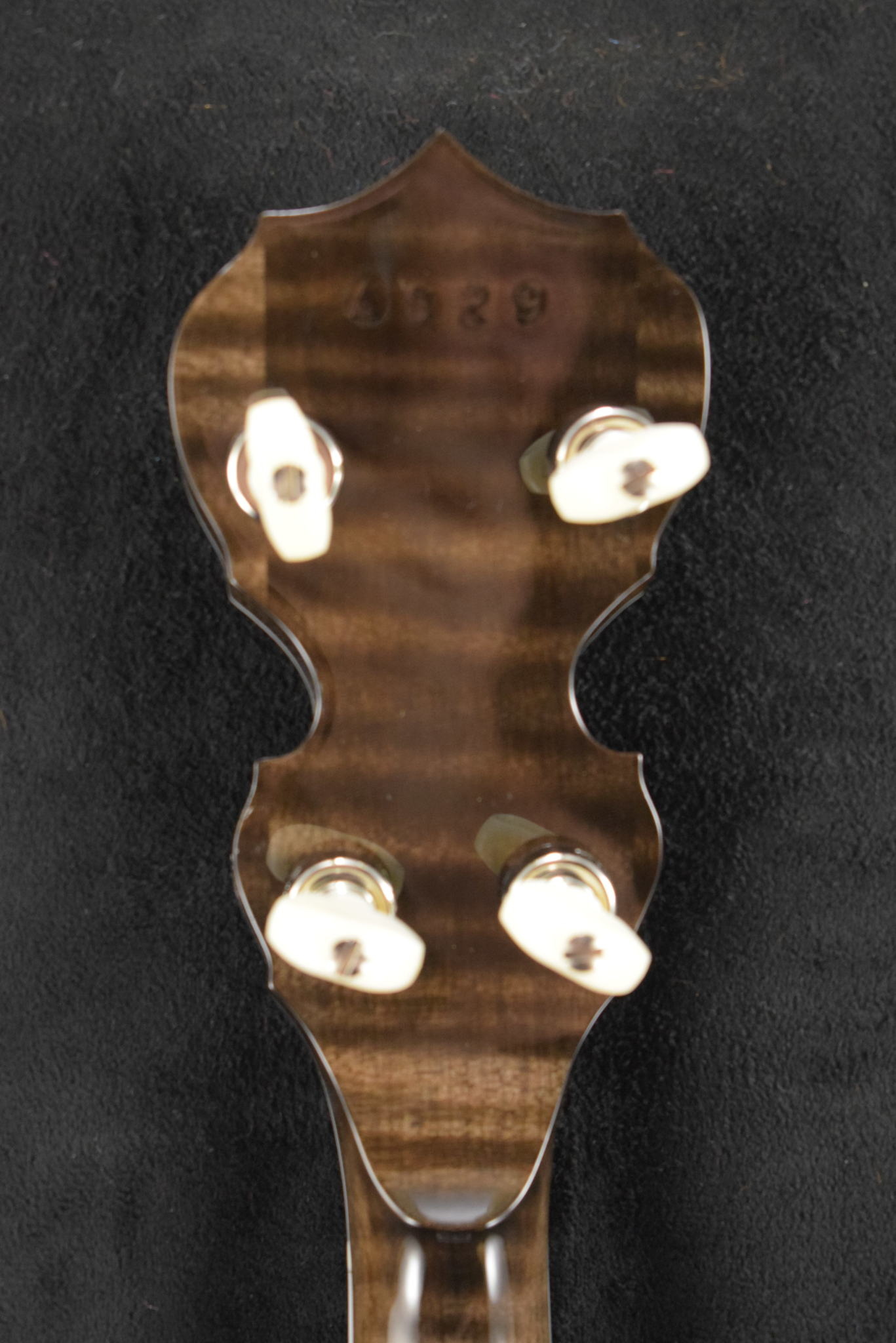 Deering Deering Maple Blossom 5-String Banjo