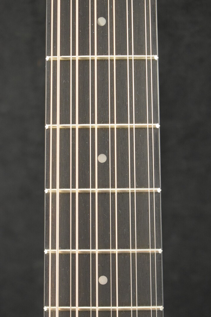 Taylor Taylor 250ce-BLK Plus 12-String Black