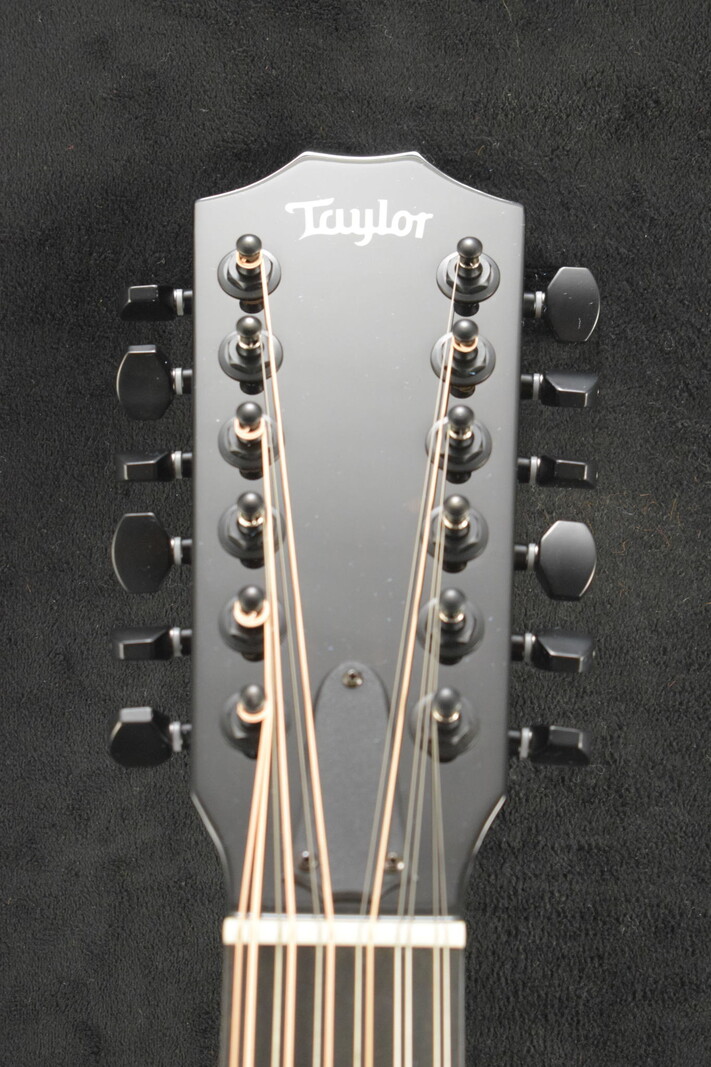 Taylor Taylor 250ce-BLK Plus 12-String Black