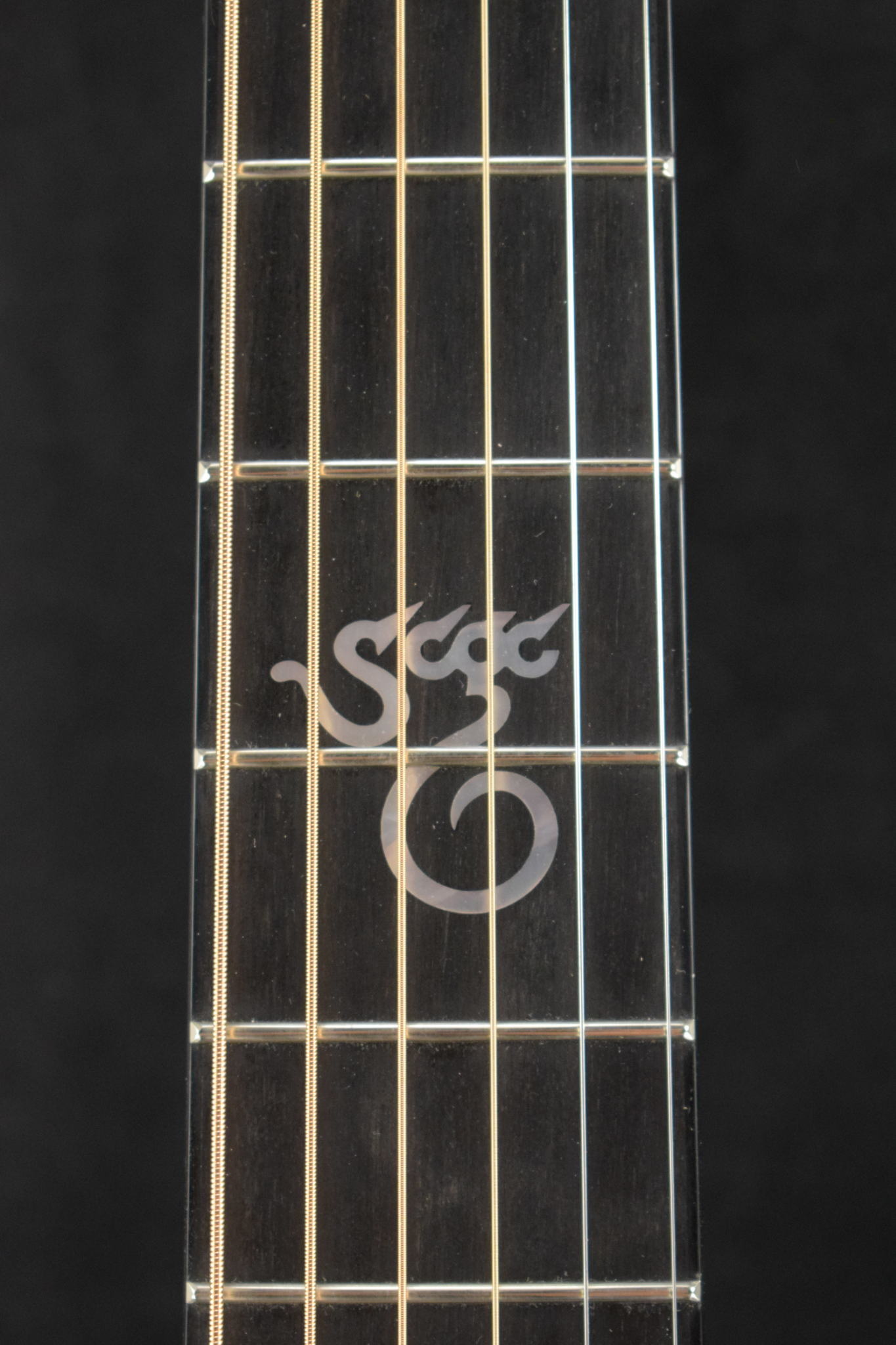 Santa Cruz Santa Cruz Brad Paisley Pre War Dreadnought Indian Rosewood/German Bearclaw