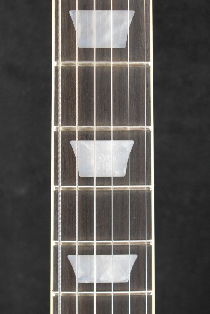 Gibson Gibson Adam Jones Les Paul Standard Antique Silverburst