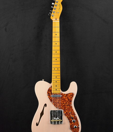 Fender Custom Shop 50's Tele Thinline Journeyman Relic 2