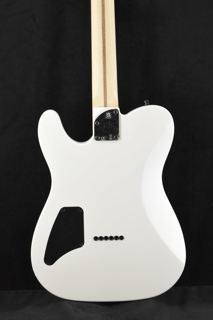 Fender Fender Jim Root Telecaster Flat White Ebony Fingerboard