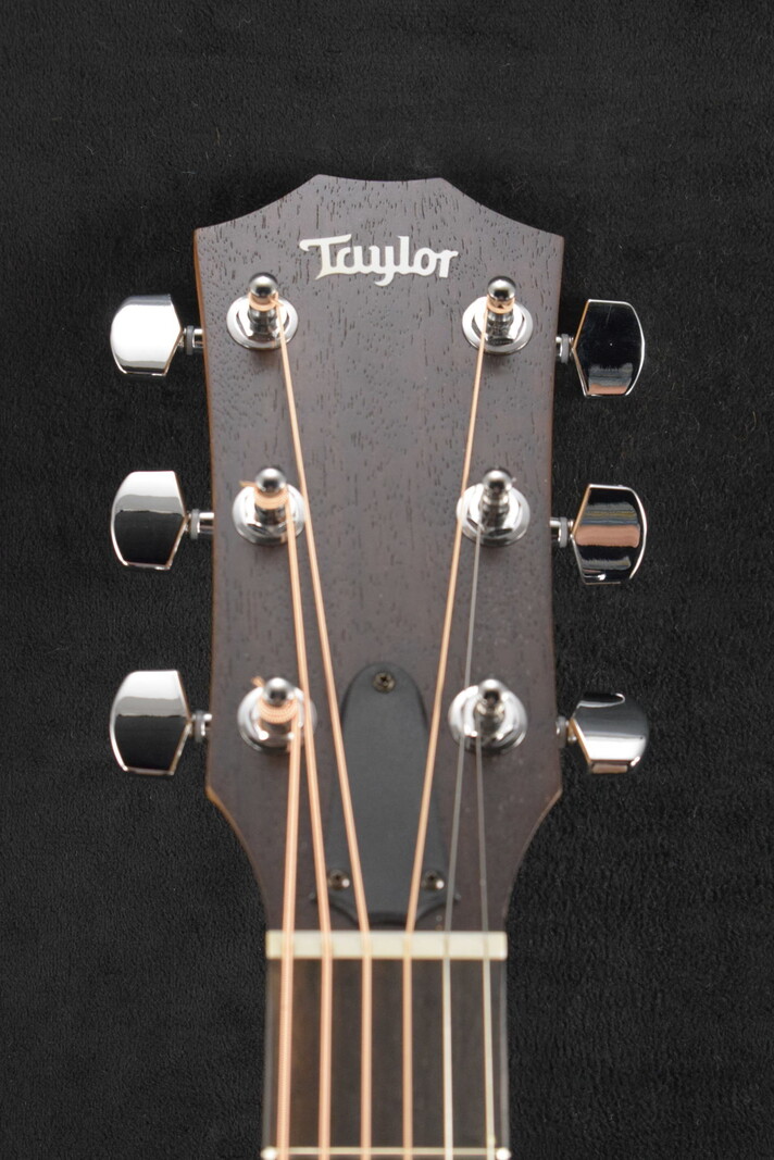 Taylor Taylor Academy 10 Natural