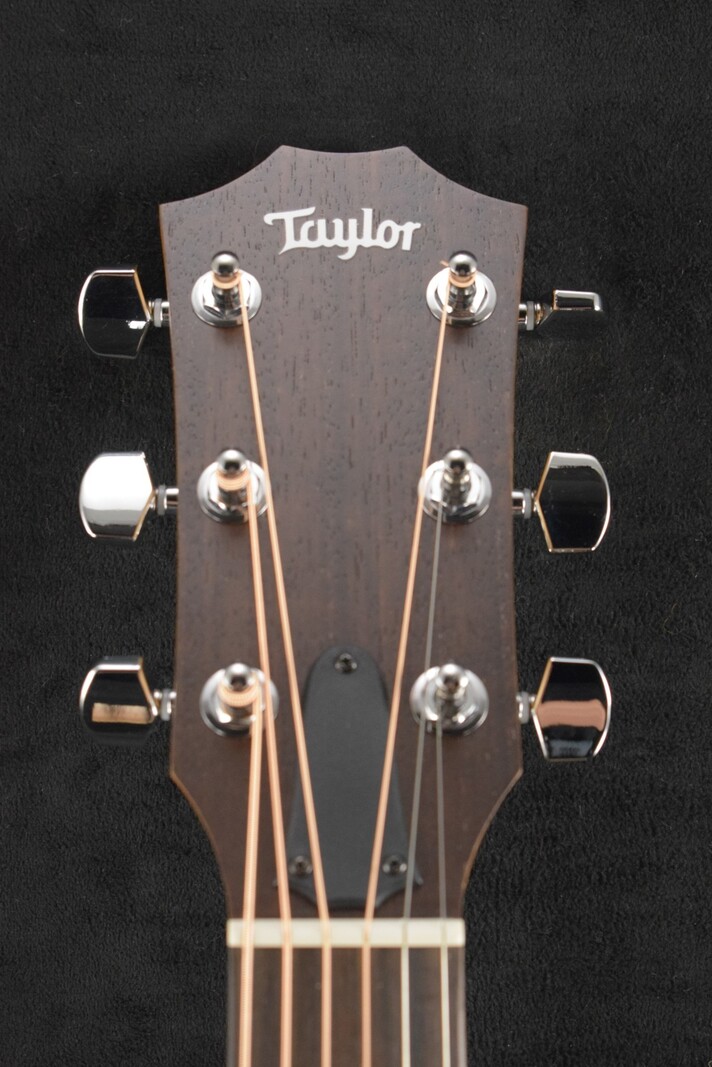 Taylor Taylor Academy 10 Natural