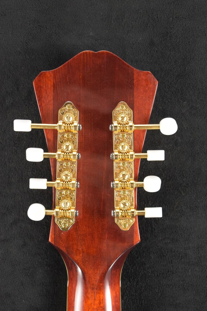 Eastman MDC804 Oval-Hole Mandocello Classic Gloss Finish Eastman MDC804 Oval-Hole Mandocello Classic Gloss Finish