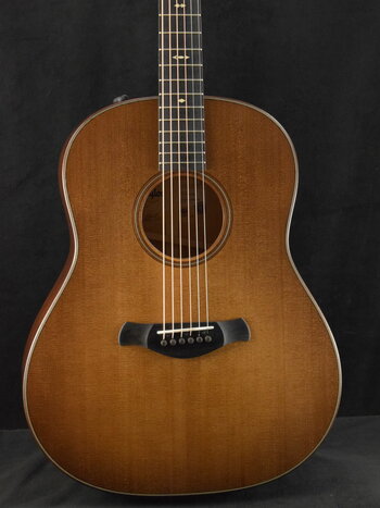 Taylor Taylor Builder's Edition 517e WHB Wild Honey Burst