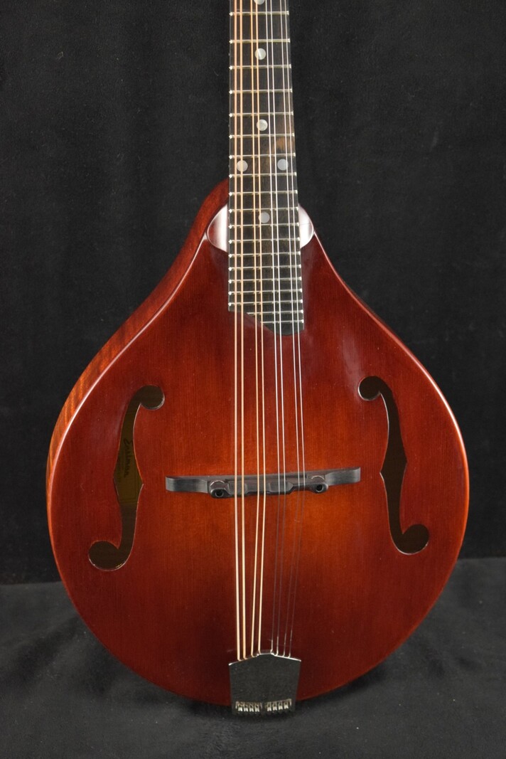 Eastman Eastman MD505CC/TV A-Style F-Hole Contoured Comfort Mandolin Classic Vintage Gloss