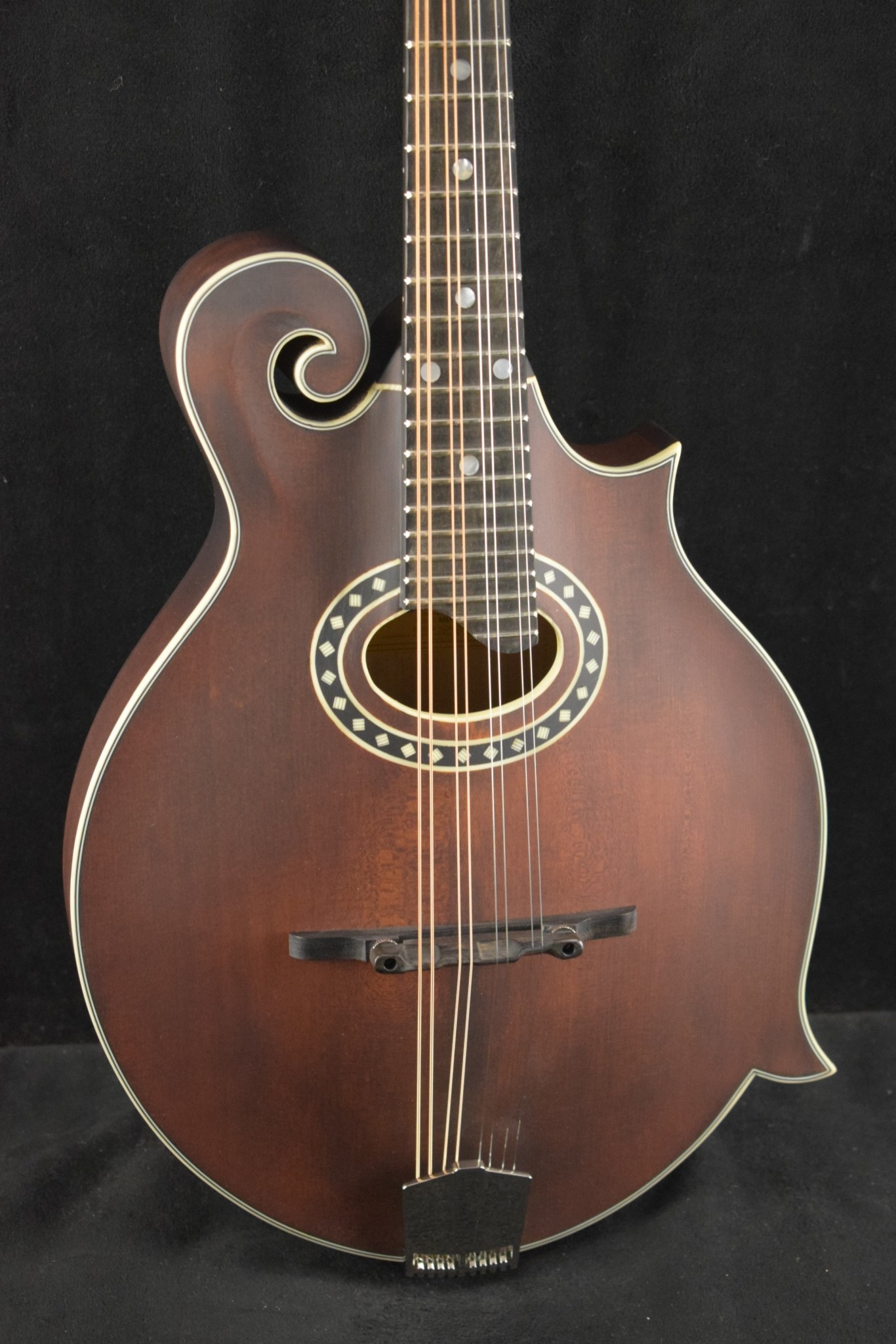 た*ん様 Eastman MD314 イーストマン フラットマンドリン MD314 - Eastman Guitars