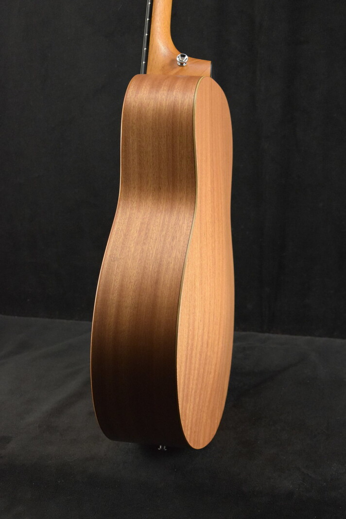 Taylor Taylor GS Mini Mahogany