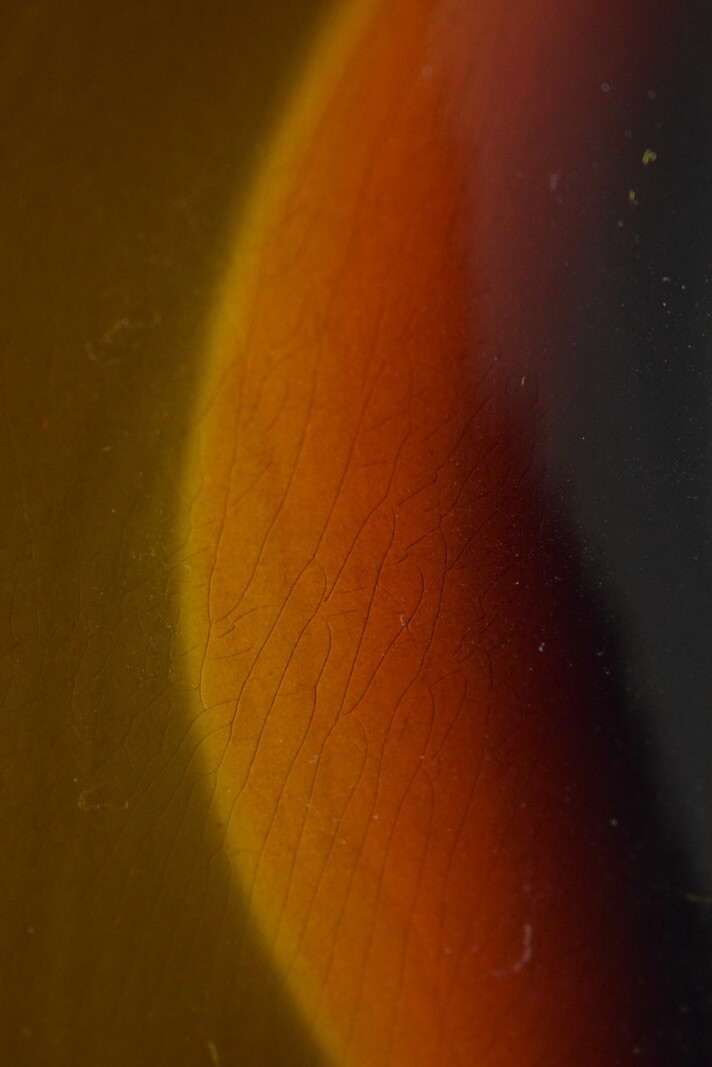 Fender Fender 1967 Jazzmaster DLX Closet Classic 3-Color Sunburst 3A Rosewood Fingerboard