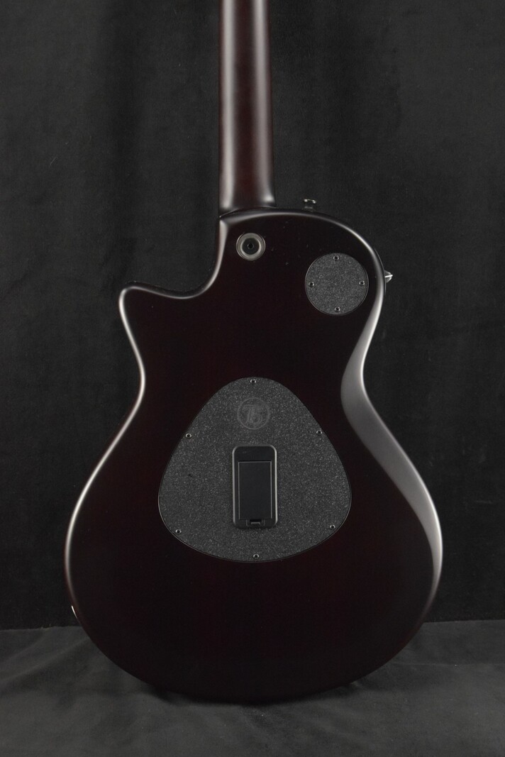 Taylor Taylor T5z Classic Sassafras Top Shaded Edgeburst