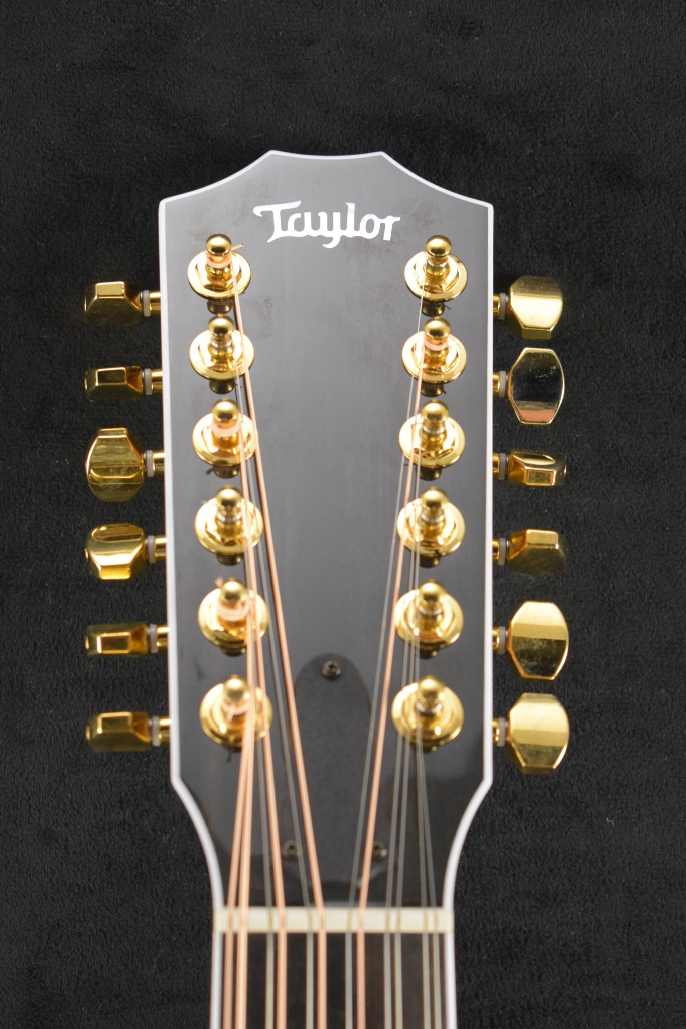 Taylor Taylor 858e LTD 50th Anniversary Natural