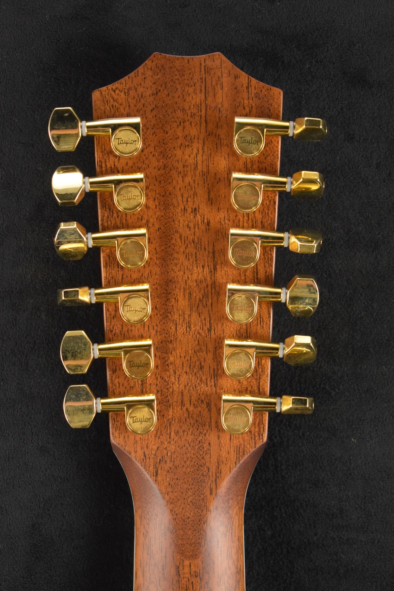 Taylor Taylor 858e LTD 50th Anniversary Natural