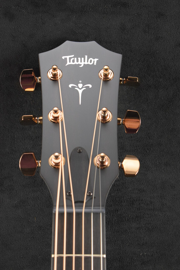 Taylor Taylor 724ce Hawaiian Koa Matte Finish
