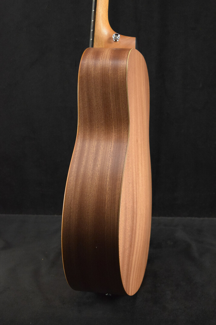 Taylor Taylor GS Mini Mahogany