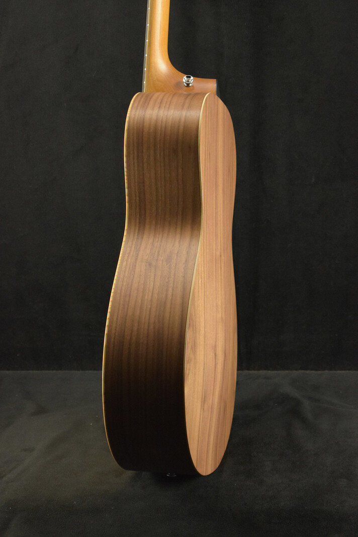 Taylor Taylor Academy 12e Walnut/Spruce