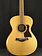 Taylor Taylor Academy 12e Walnut/Spruce