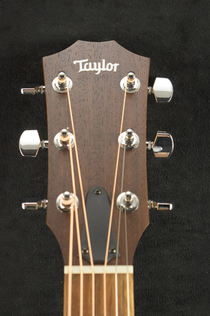 Taylor Taylor Academy 12e Walnut/Spruce