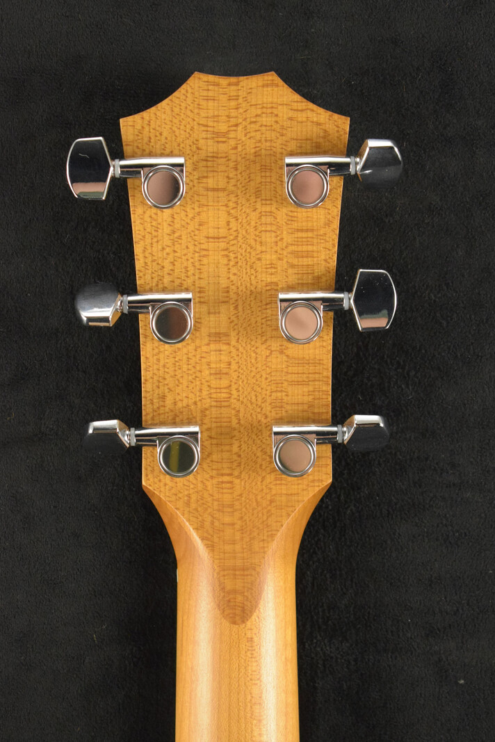 Taylor Taylor Academy 12e Walnut/Spruce