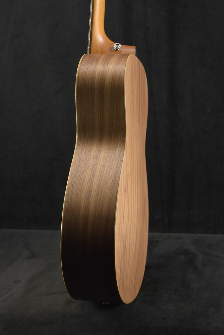 Taylor Taylor Academy 12e Walnut/Spruce
