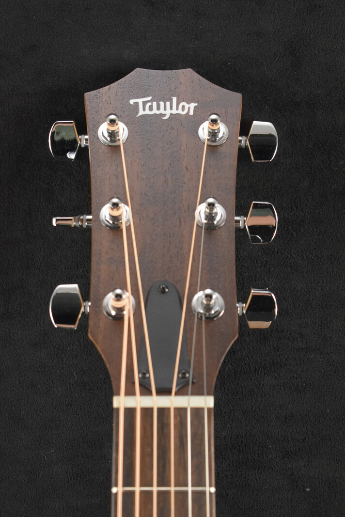 Taylor Taylor Academy 12e Walnut/Spruce