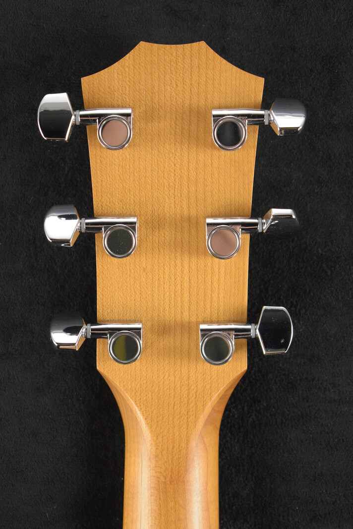 Taylor Taylor Academy 12e Walnut/Spruce