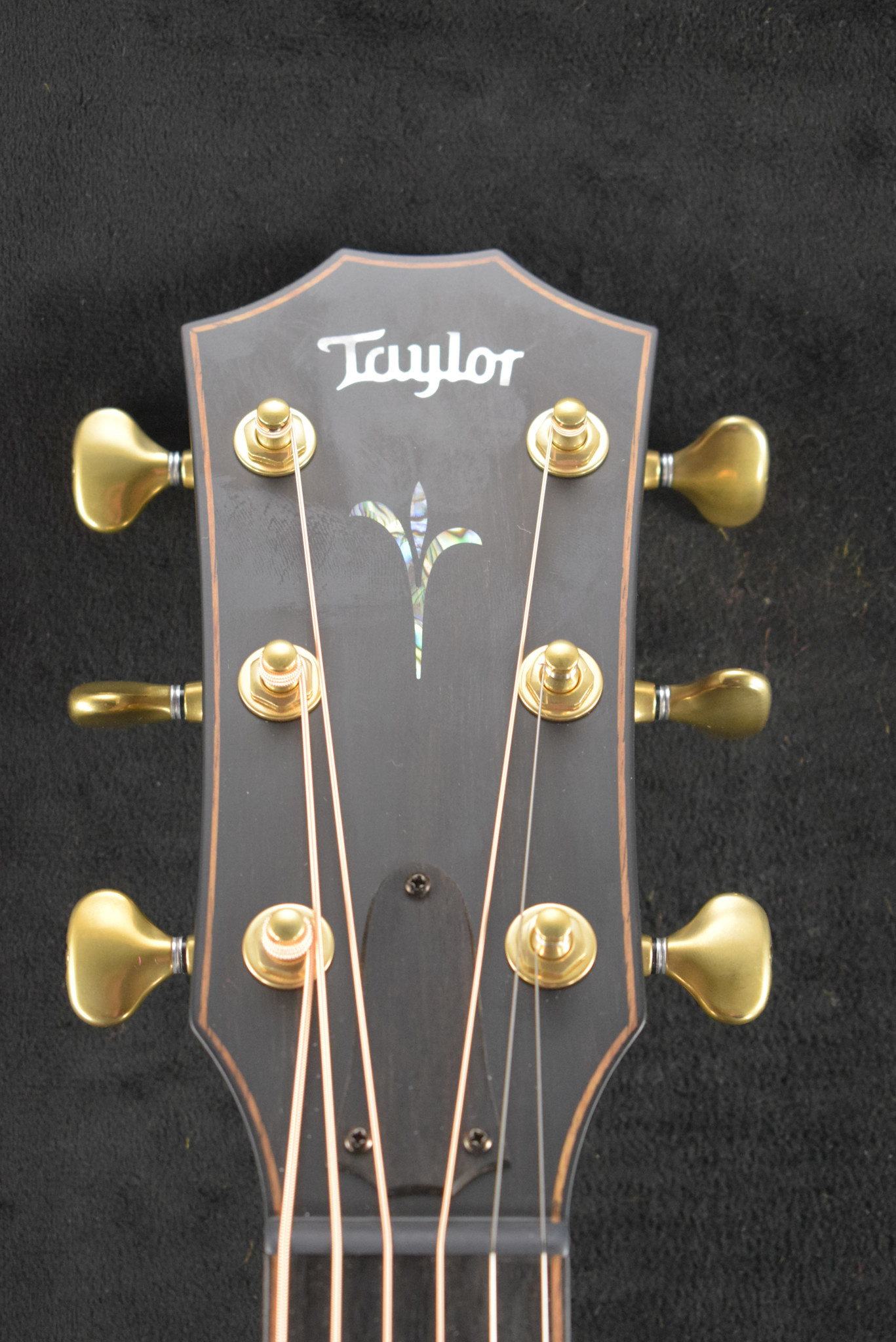 Taylor Taylor Builder's Edition K24ce Silent Satin