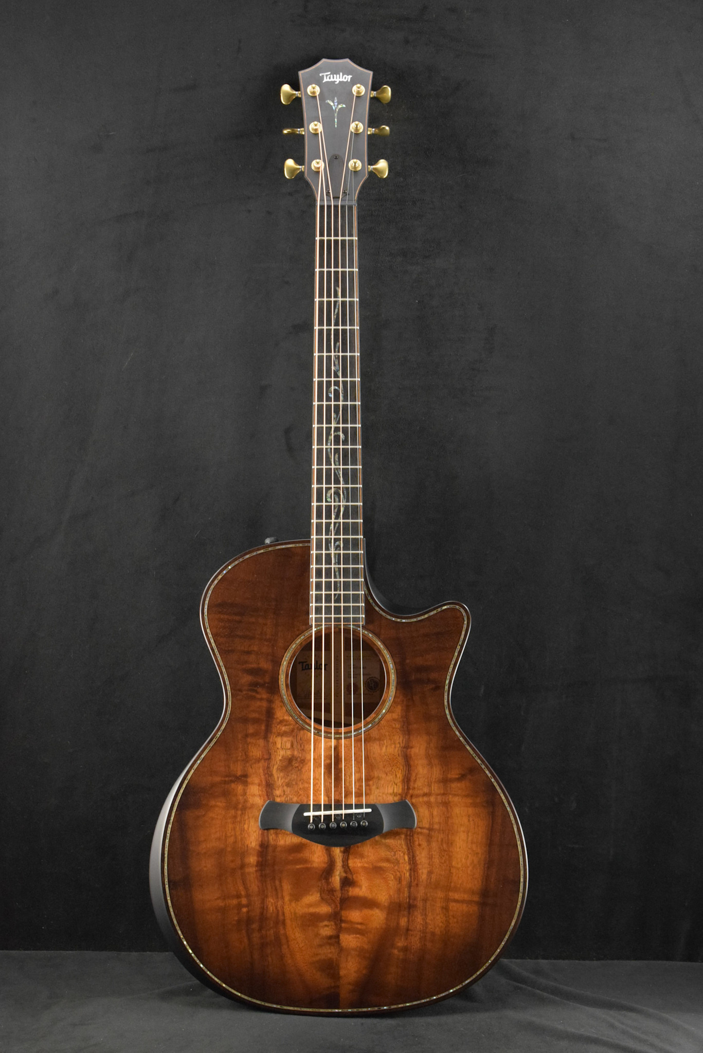 Taylor Taylor Builder's Edition K24ce Silent Satin