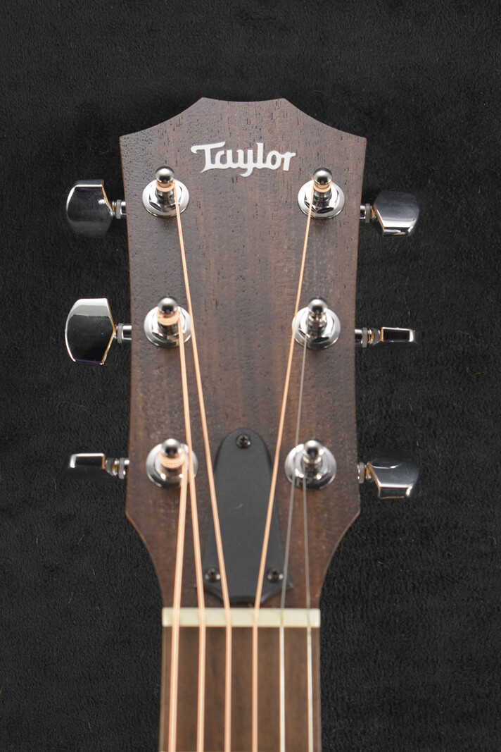 Taylor Taylor Academy 12 Natural