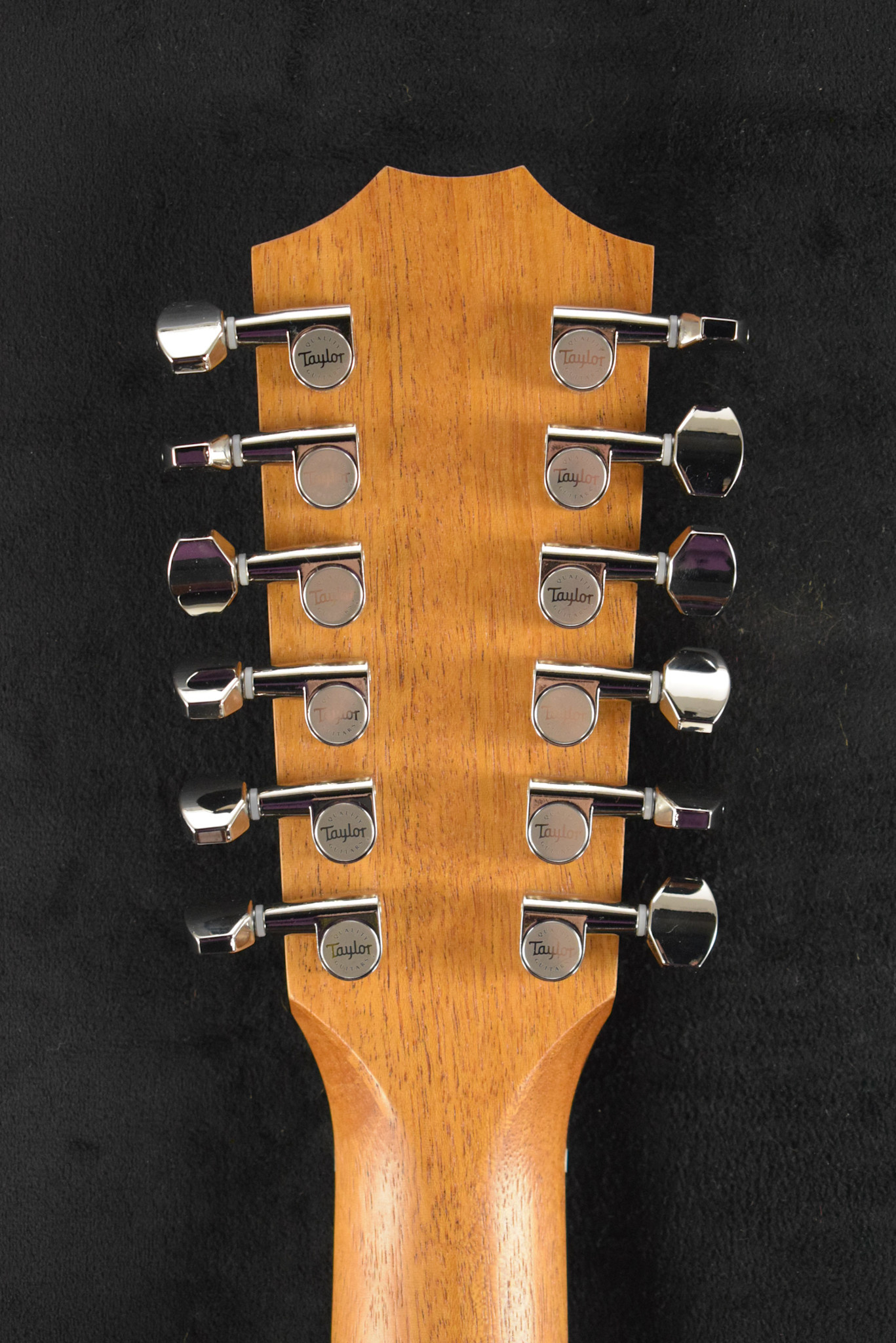 Taylor Taylor 254ce Plus 12-String Natural