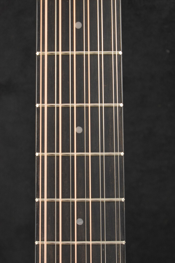 Taylor Taylor 254ce Plus 12-String Natural