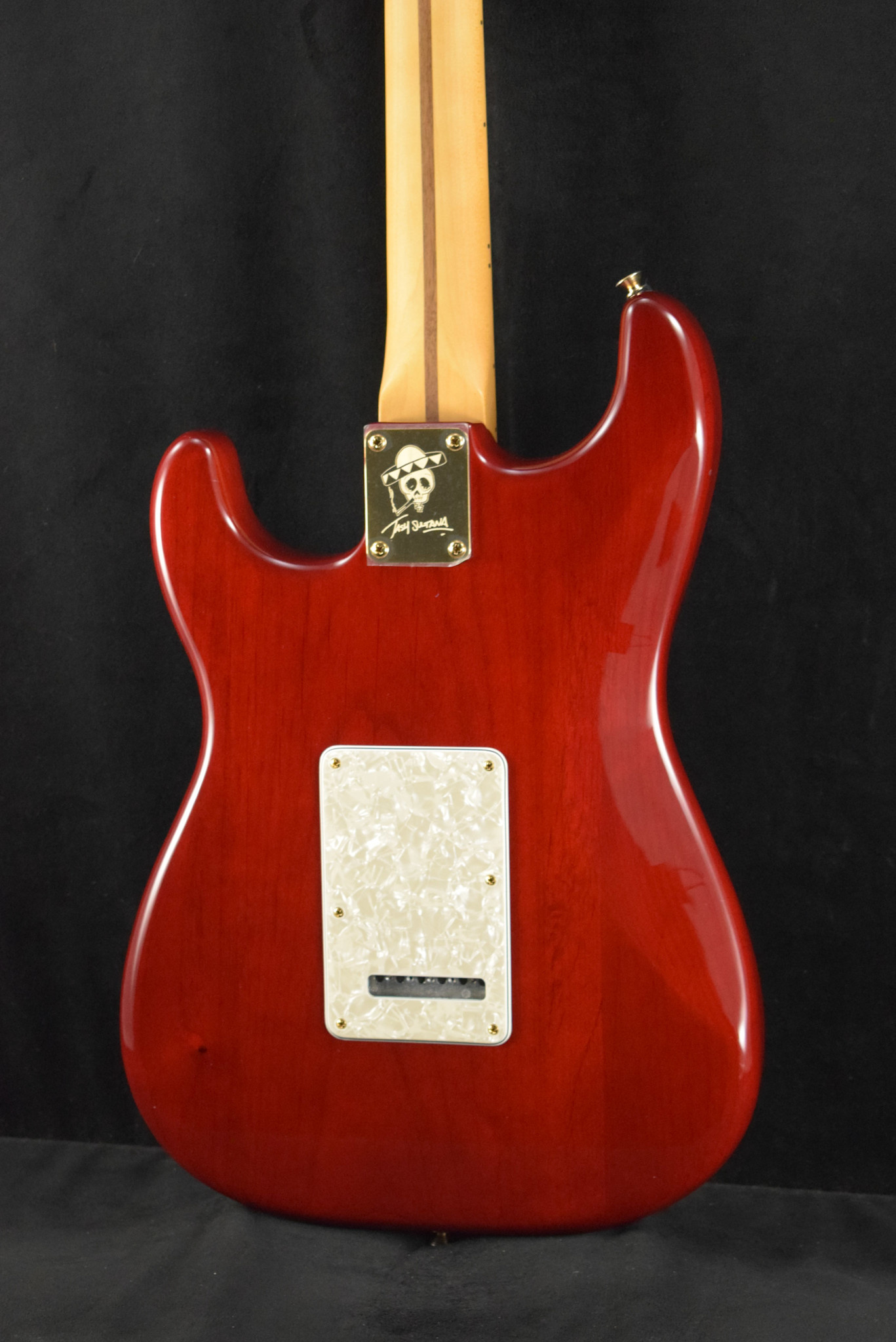 Fender Tash Sultana Stratocaster ギター Tash Sultana Stratocaster® – Fender