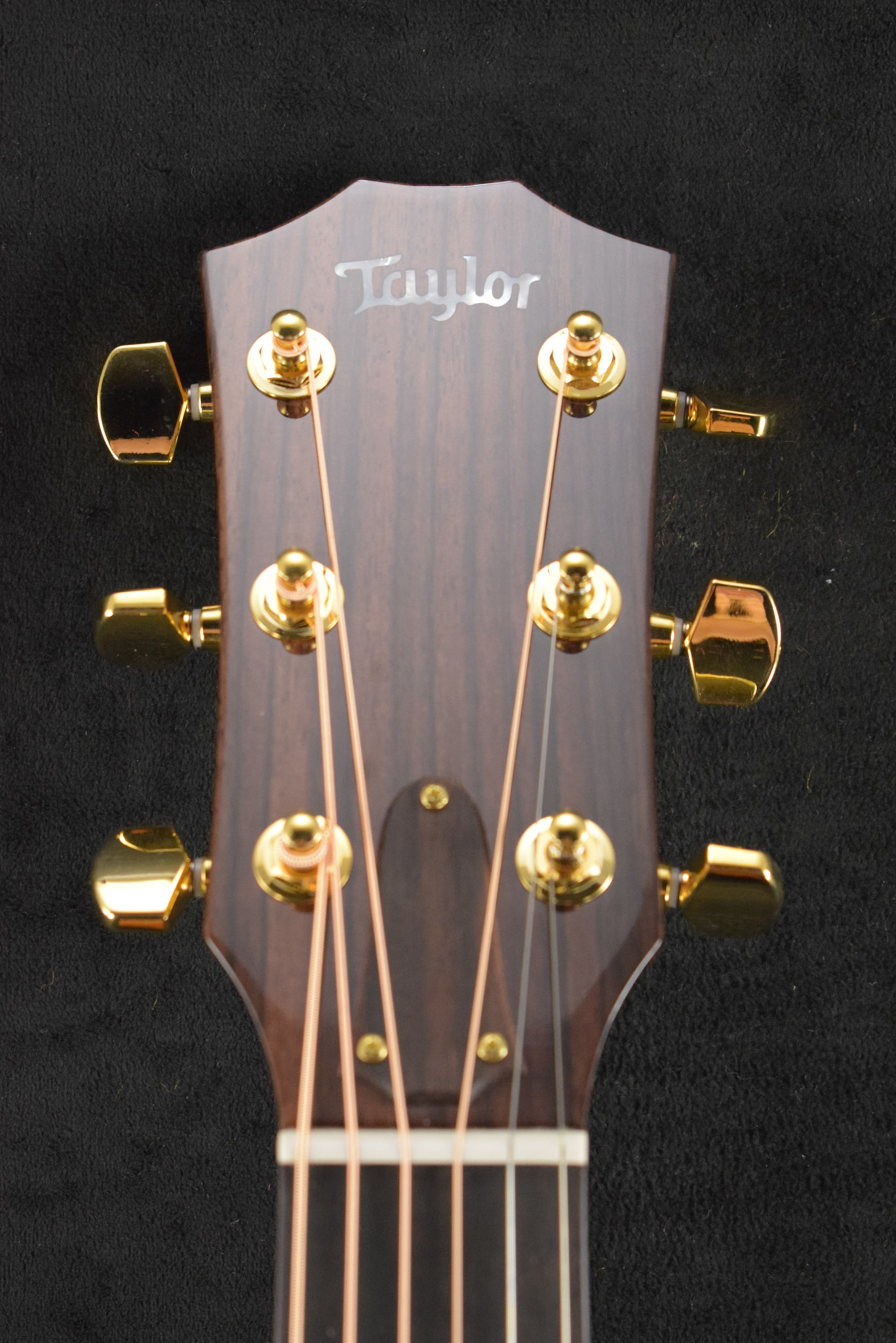 Taylor Taylor Legacy 514ce