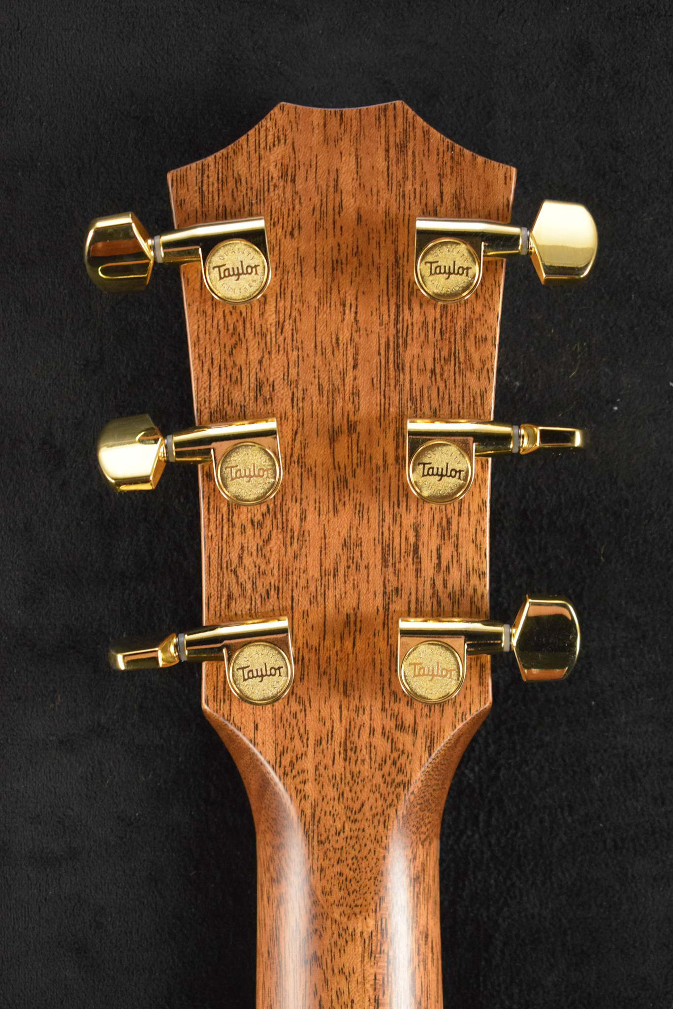 Taylor Taylor Legacy 514ce