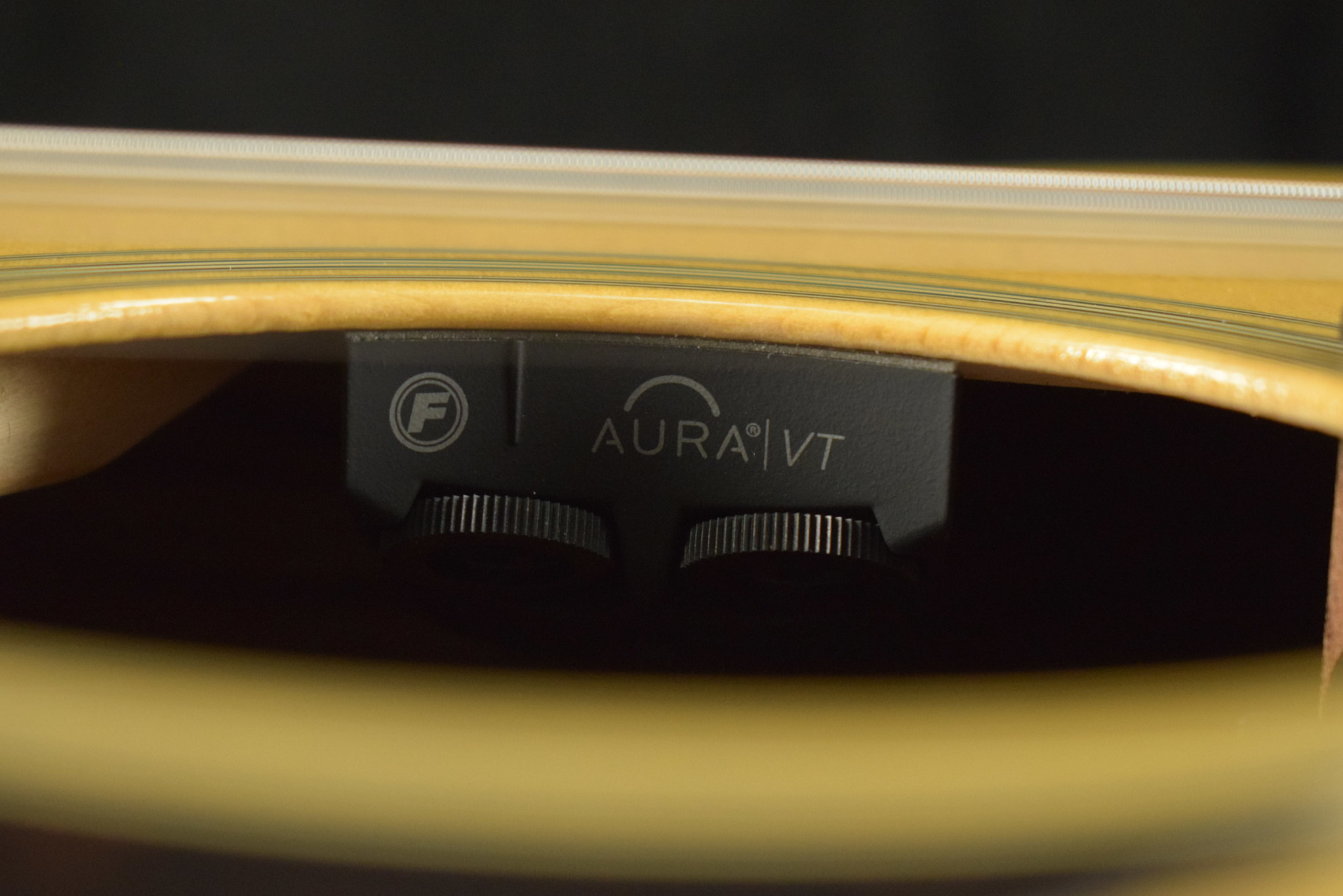 Martin Martin SC-28E Fishman Aura VT Blend